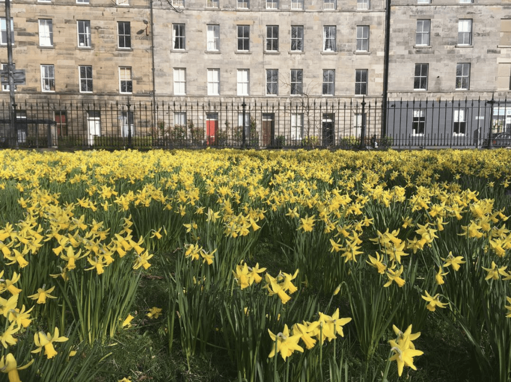 What's On In Edinburgh April 2019 Dickins Guide