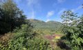 29 Whistlefield Lodges, Loch Eck, Dunoon