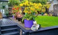 Broomcrag,  41 Victoria Road, Dunoon