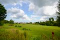 Liberton Gardens