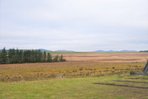 P11862: Cockmuir, Penicuik, Midlothian