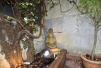 P386: Pilrig Street, , Edinburgh