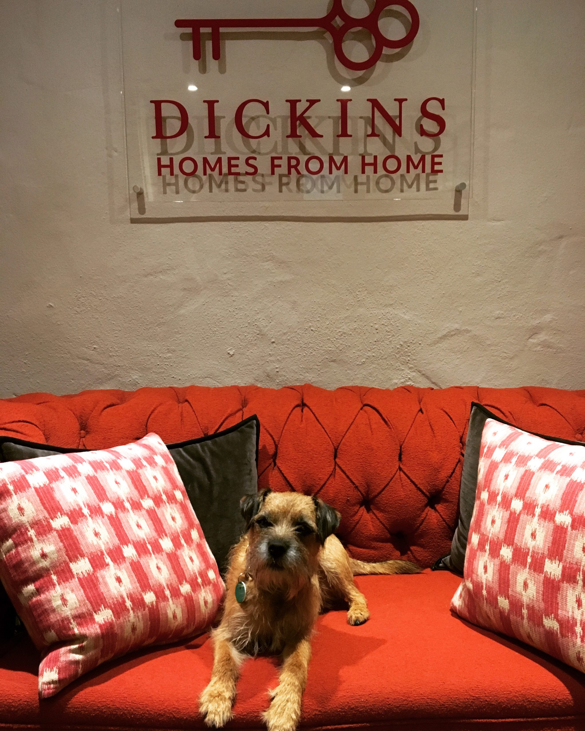 Edinburgh's Best Dog Friendly Apartments Dickins