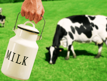 Коровье молоко более полезное и питательное, чем вегетарианские альтернативы