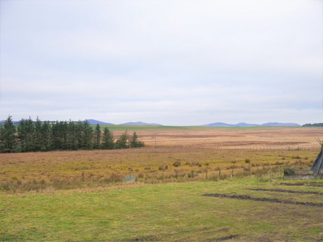 P11862: Cockmuir, Penicuik, Midlothian