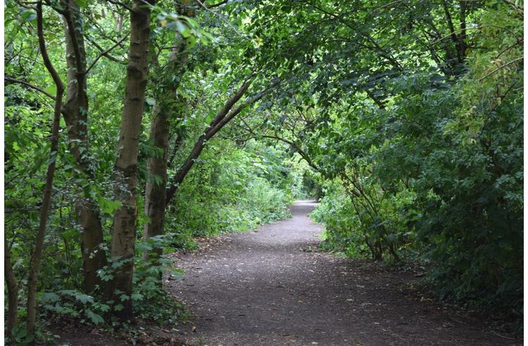 West Bryson Road