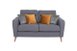 Everett Charcoal 2 seat sofa
