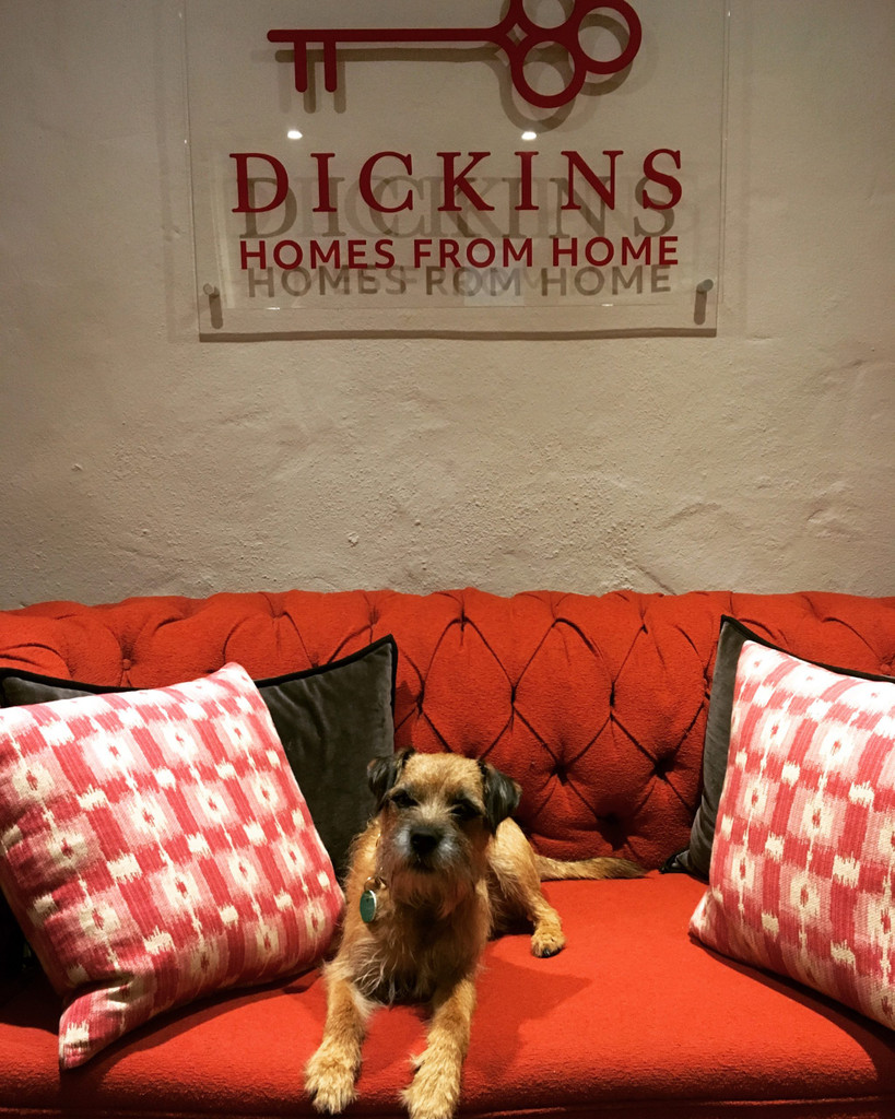 Edinburgh's Best Dog Friendly Apartments Dickins