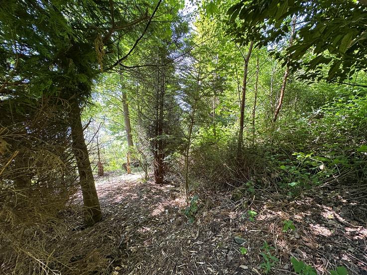 Seanta,  Shore Road, Kilmun