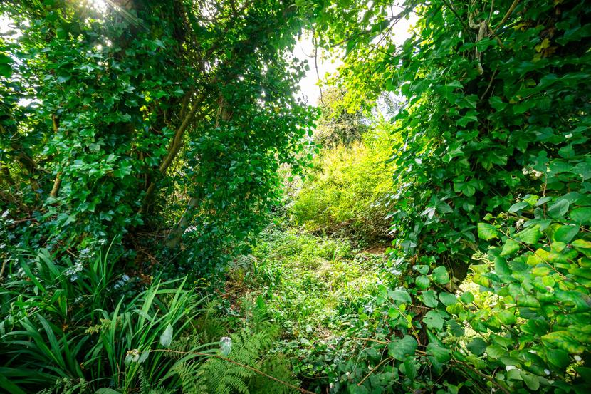 Laurel Grove,  55 King Street, Dunoon